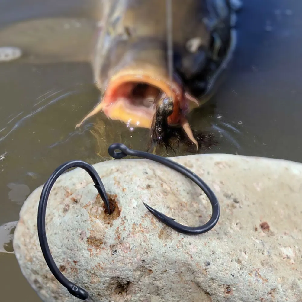 Hirisi-Hameçons de pêche à la carpe, crochets barbelés en acier à haute teneur en carbone, livraison dans la boîte, 8011, 50 pièces