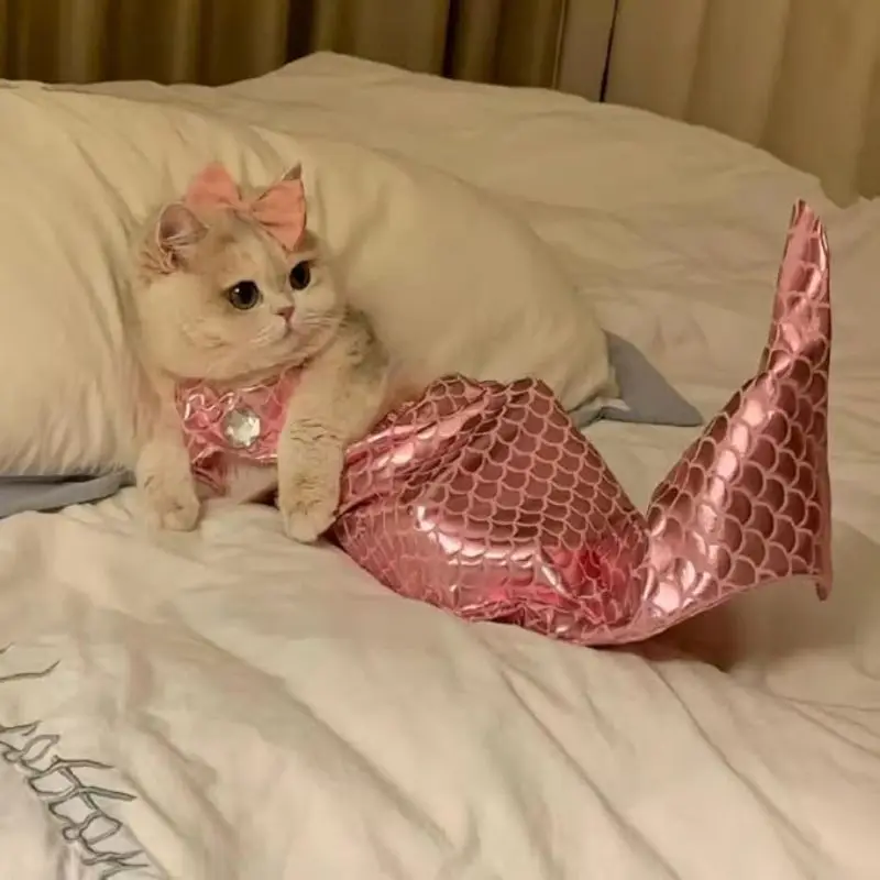 Cat Mermaid Costume Pet Mermaid Crossdressing Funny Swimsuit Bikini Dog Fish Tail Shape Cat Dog Fishtail Swimsuit