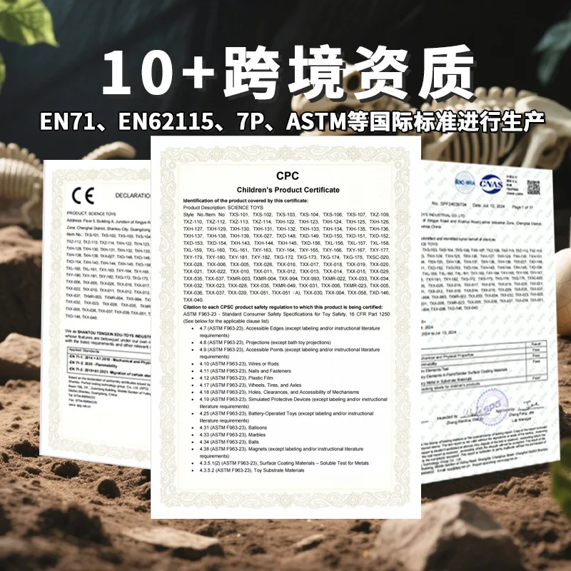 Juguete de excavación arqueológica, huevo de dinosaurio, caja ciega fósil, modelo de dinosaurio, juguete de excavación del tesoro para niños