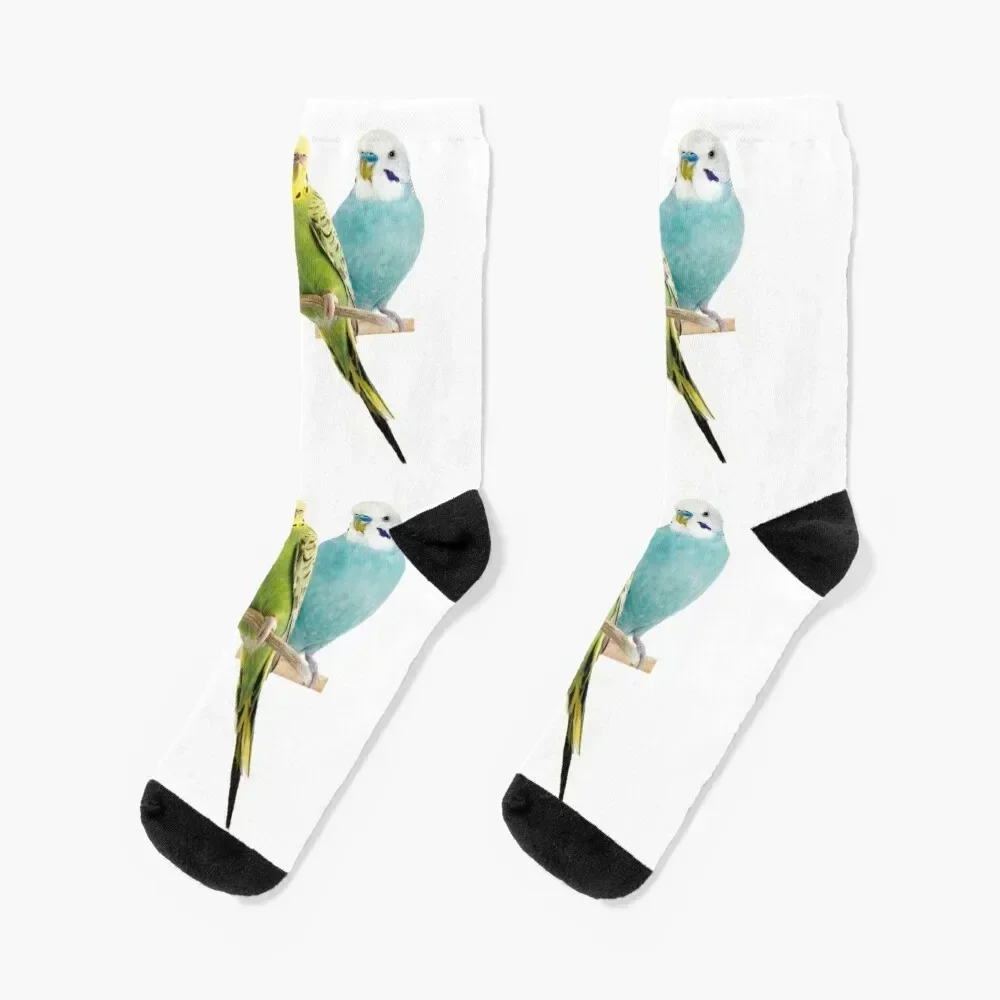 

the parakeet: cute and tiny birds Socks summer retro Men's Socks Women's