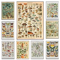 Vintage Classic Wall Art Plants Mushroom Medicine Flower Insect Butterfly Vegetable Pumpkin Carrot Canvas Oil Posters And Prints