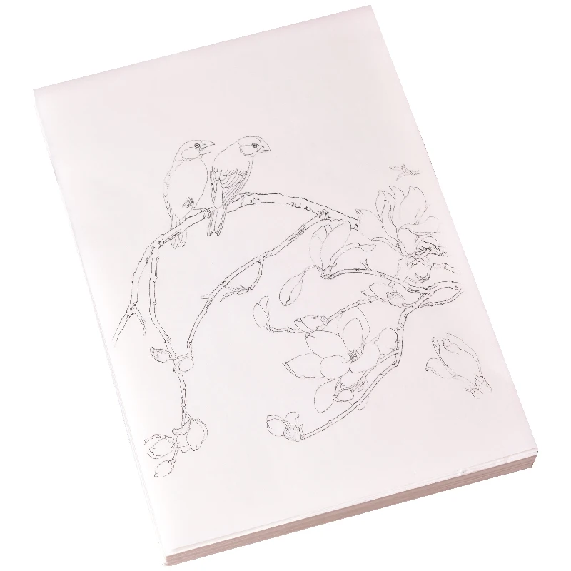 Professional Line Drawing Practice Manuscript Special Ripe Xuan Paper Chinese Painting Coloring Line Draft Beginnner Art Supply