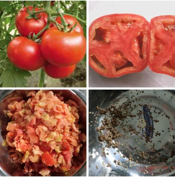 Automatic Tomato Seed Core Remover Extractor Tomato Paste Pulp Processing Machine Plant for Sale