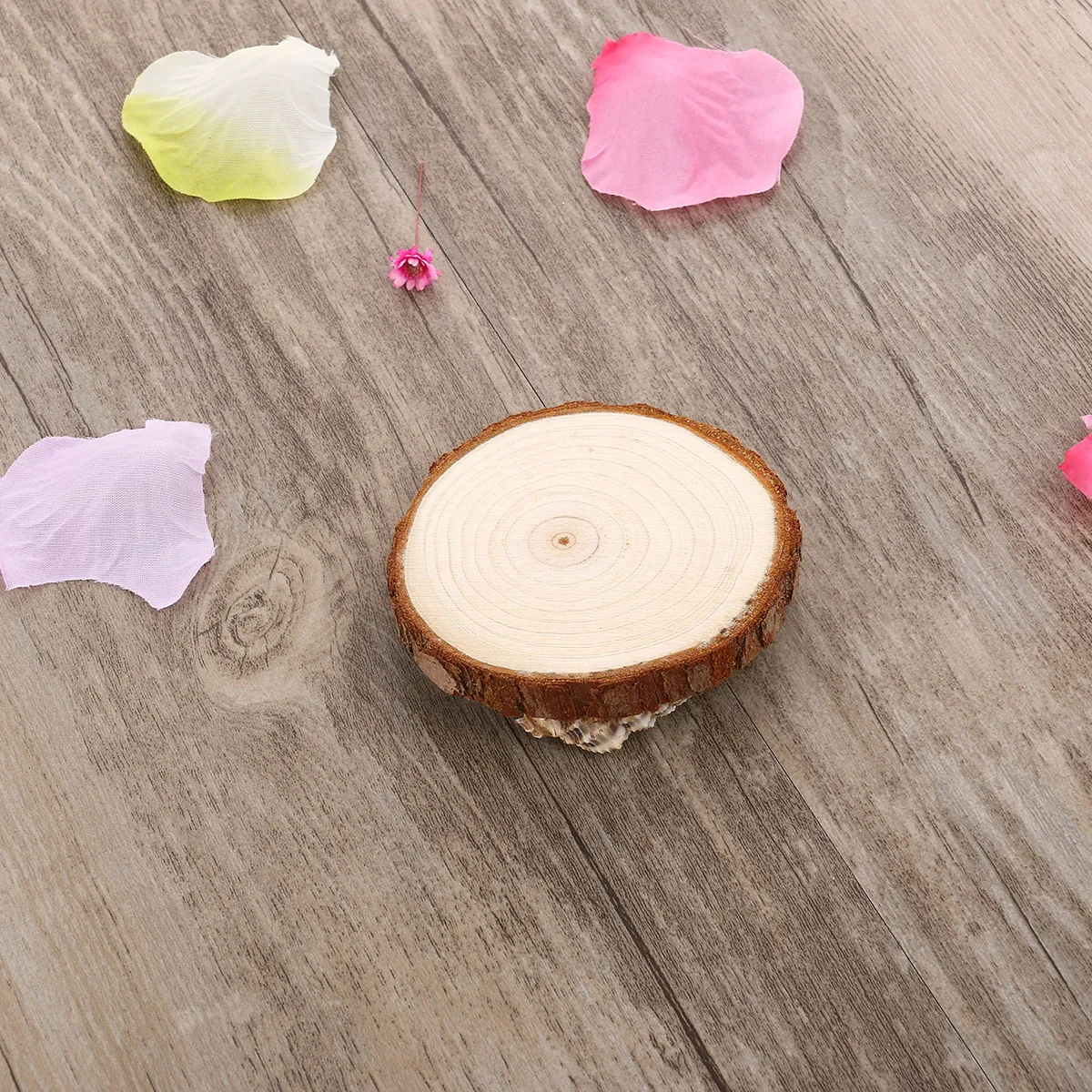 

5 Pcs Reception Log Pieces Props Decor Circles Biscuit Mini Round Trunk Slices Bride