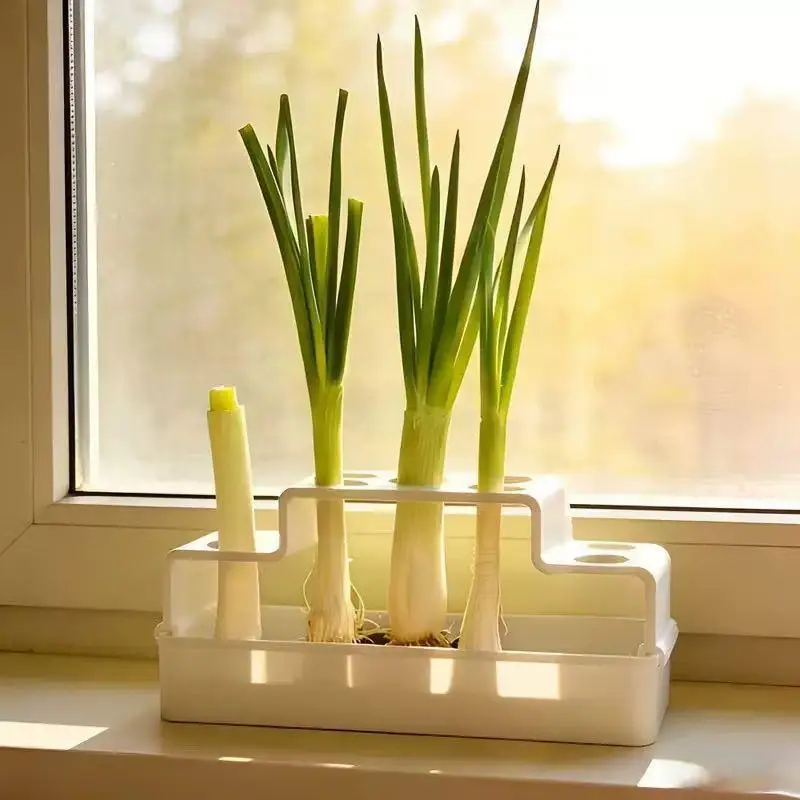Hydroponic Green Onion Planter Reusable Self-Regrowing Device Food-Grade for Balcony Indoor Home Vegetable Growing Use