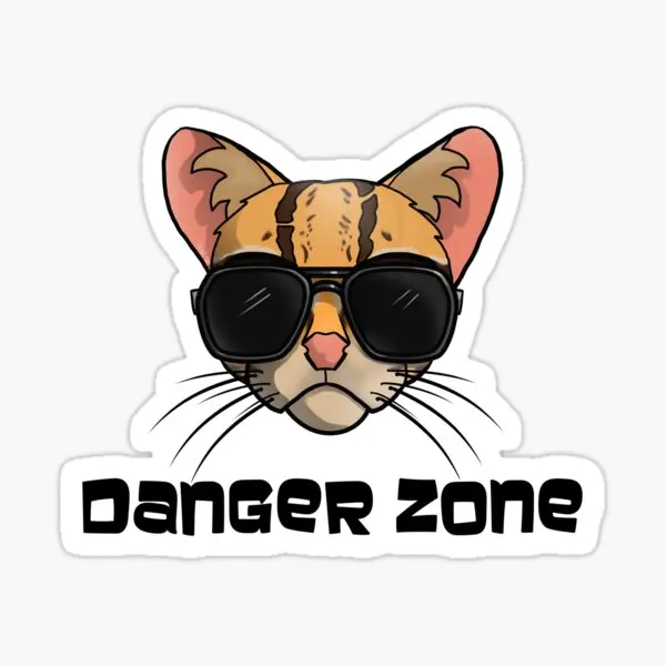 ملصق سيارة من Danger Zone الواقي من الشمس، شارات عصرية لديكور جرافيتي إبداعي #4