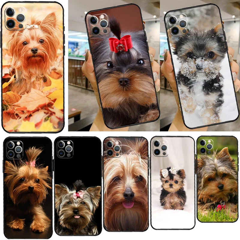 Mini Yorkshire Terr… - image