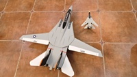 Xfly Dual 40mm Engine F-14 \
