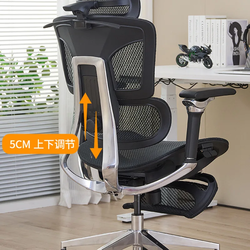 Aluminum Alloy Ergo… - image