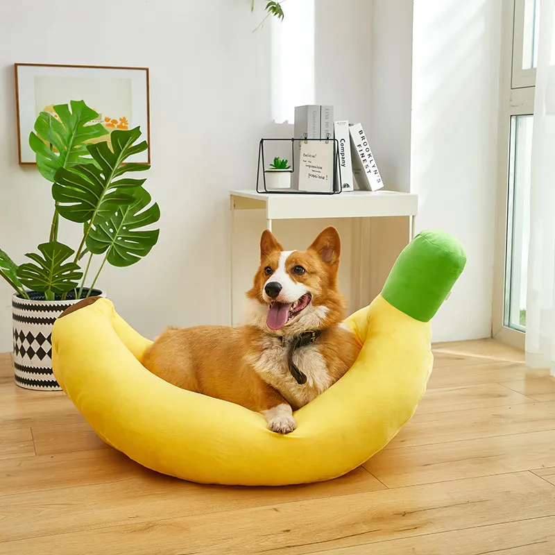 

Frenchie Cotton Quality Large Dog Bed Cute Party Plush Designer Indoors Dog Kennel Modern Cama Para Pet Cachorro Pet Supplies