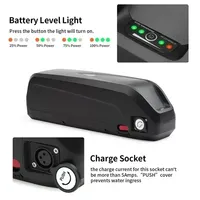 Original Hailong 48V 36V 52V 20AH Battery Pack 18650 Cell 25A BMS 350W 500W 750W 1000W for Electric Mountain Bike Gift Charger