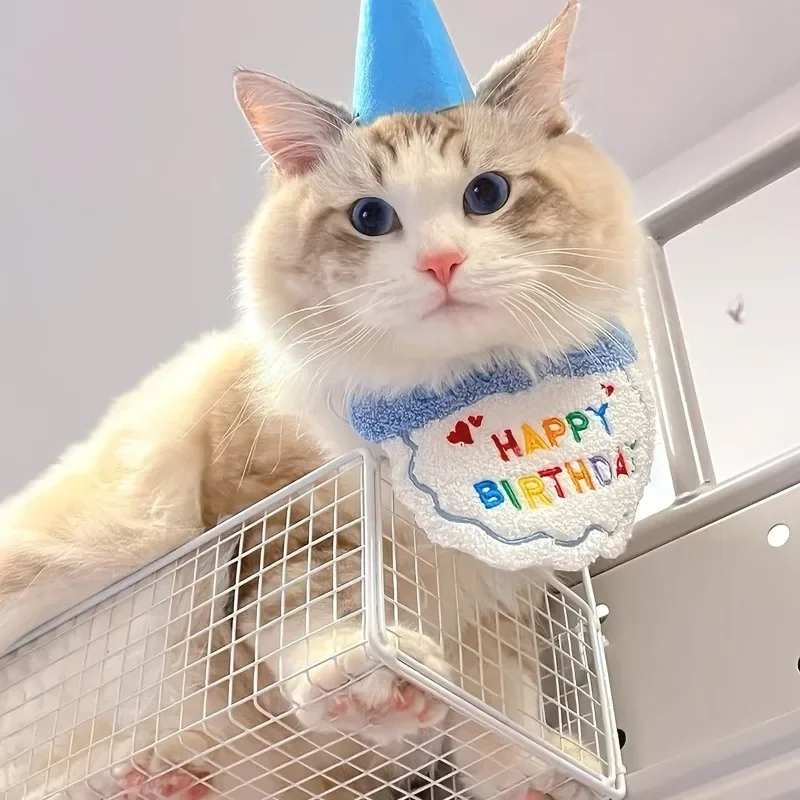 Pet Birthday Hat Bandana Set 4