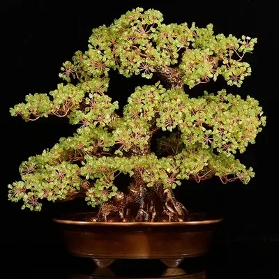 الراتنج شجرة الثروة هدية ل هووسورمينغ وفتح خزانة مشروبات غرفة المعيشة تأثيث المنزل فنغ شوي ديكور جذب الثروة #5