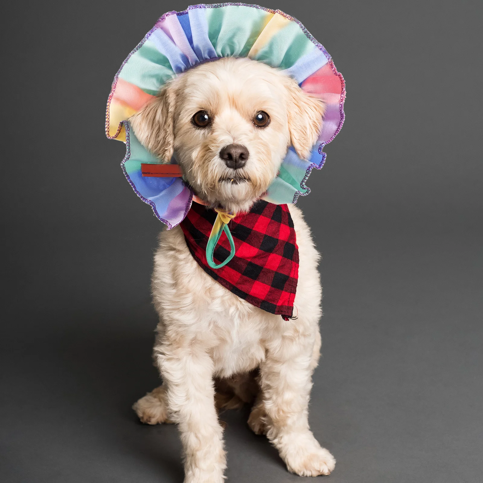 

Pride Month Rainbow Pet Hat Adjustable Straps Sun Protection Stylish Costume Accessory for Dogs Cats Small Pets