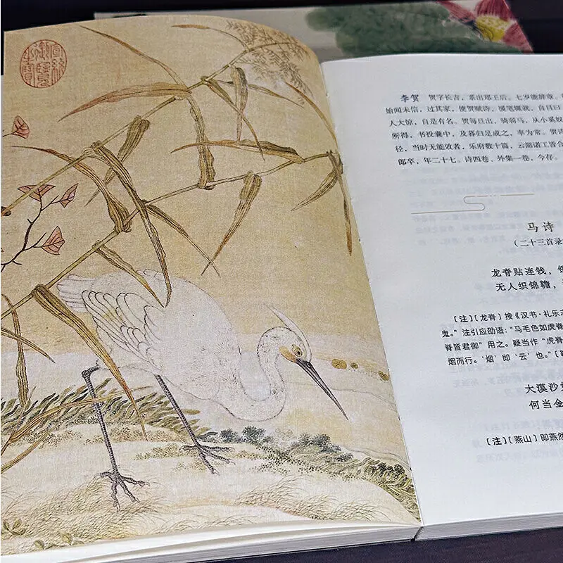 Esens dari buku sastra dan puisi Dinasti Tang Quatrains terpilih China Dinasti Tang