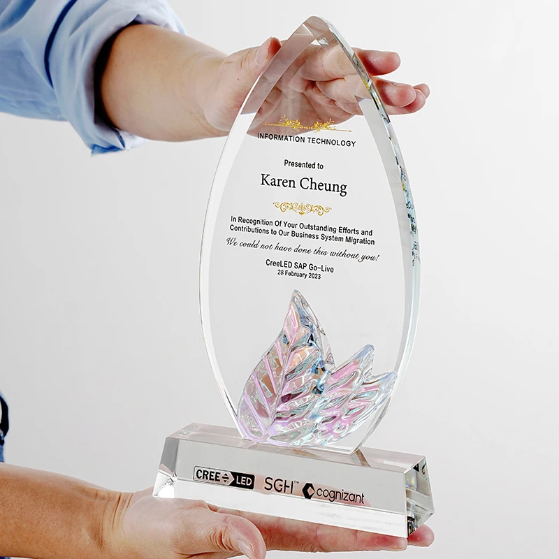 Customized High-end Crystal Trophy, Excellent Employee Team Medal Award Sports Competition Company Annual Meeting Souvenirs, 1Pc