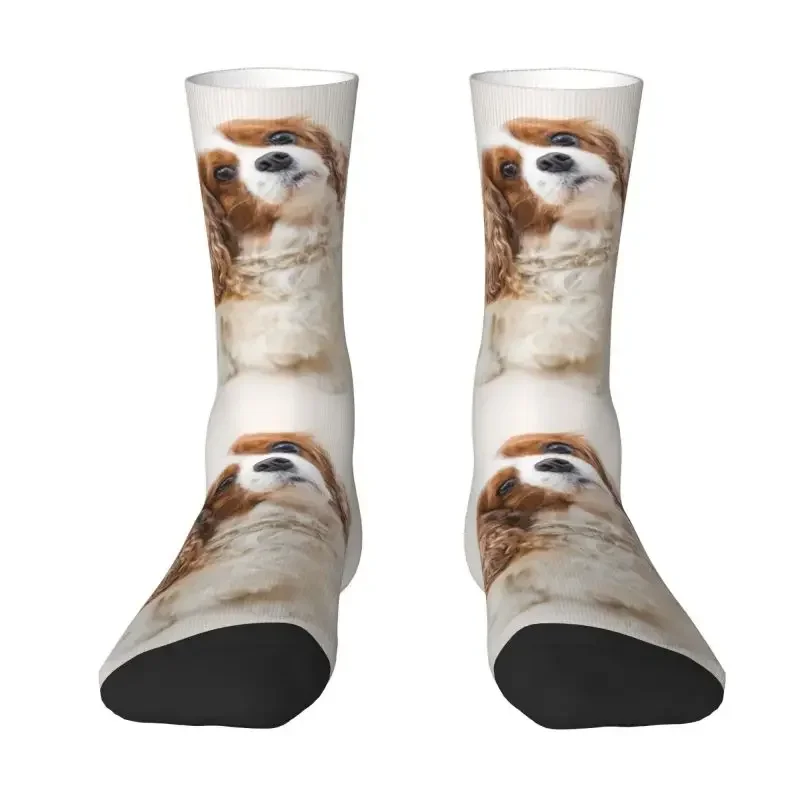 Y2K Novelty Printing Cute Cavalier King Charles Spaniel For Men Women Stretch Summer Autumn Winter Pet Dog Crew Socks