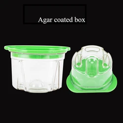 Technician Material Laminated Box Agar Replication Box Denture Model Making Laboratory Materials and Tools Dental Lab Dente
