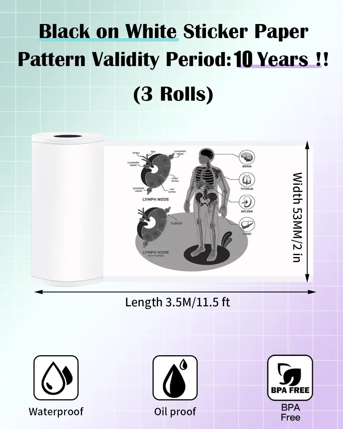 T02 미니 프린터용 감열지, 휴대용 프린터용 감열지, 53mm M832 감열지, T02 M832 M833 M834 너비 53mm