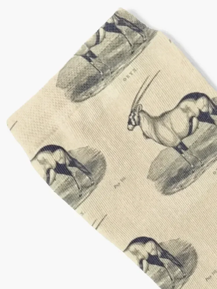 Vintage Oryx Antelope Etching Socks Soccer sports stockings Socks Girl Men's