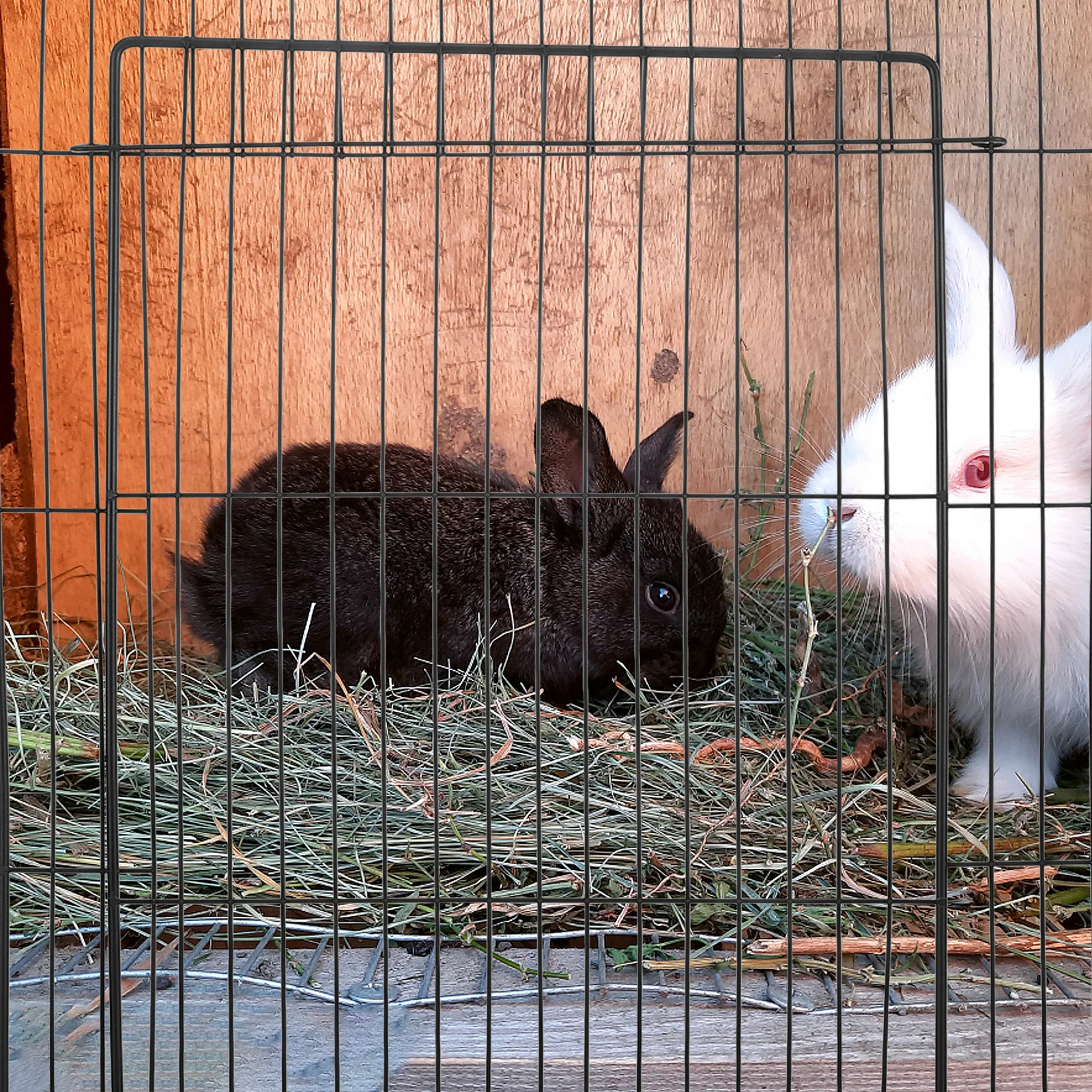 

Cat Cage Accessories Playpen Door Fence Panels Fencing Apartment Divider Cages Enclosure