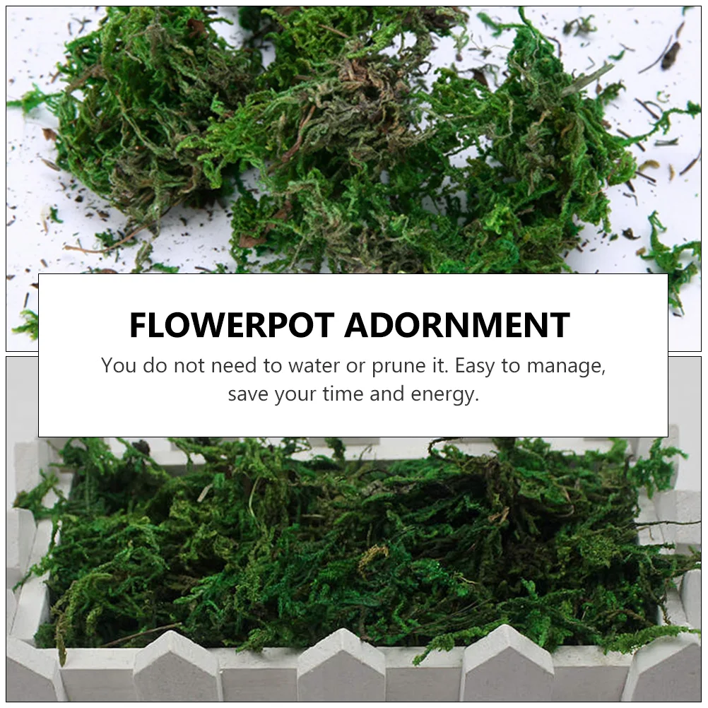 

1Pcs Artificial Moss Decorative Simulated Moss Natural Texture for Terrariums Plant Wall Fairy Garden Craft Home Decor Green