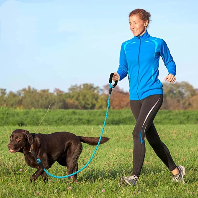 Correa de nailon fuerte para perros pequeños, medianos y grandes, correas para mascotas con cómodo mango acolchado reflectante