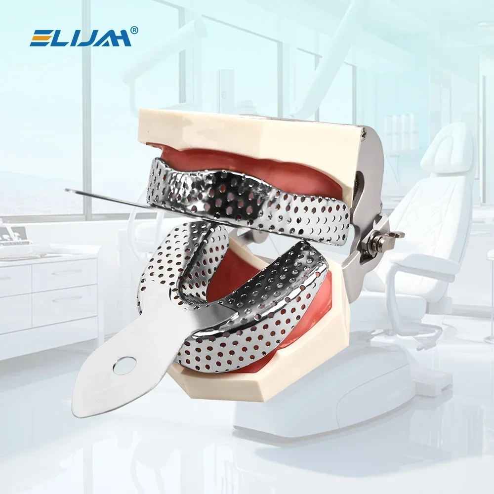 6PCS Dental Stainless Steel Tray  Upper and Lower Teeth Holder  Autoclavable Teeth Tray Teeth Holder Lab Equipment Dentist Tool