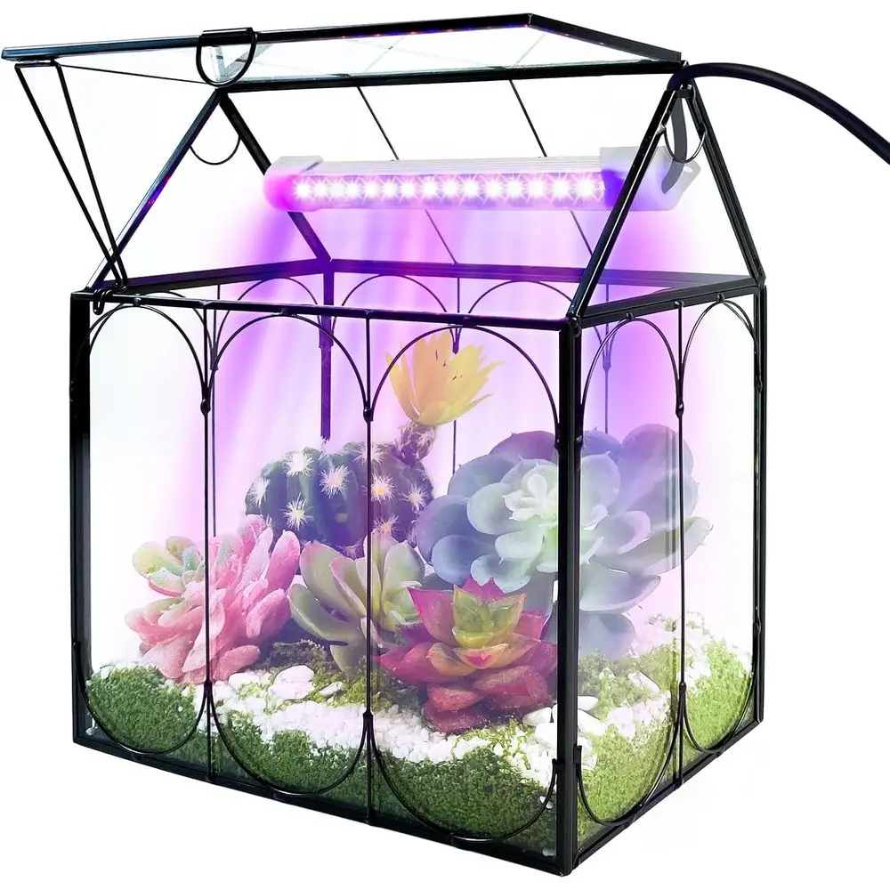 Kit de Terrario para Plantas con Luz de Cultivo, Pequeño Frasco de Vidrio para Terrario con Tapete Absorbente y Tapa o Trampa para Plantas de Aire Vivas Suculentas