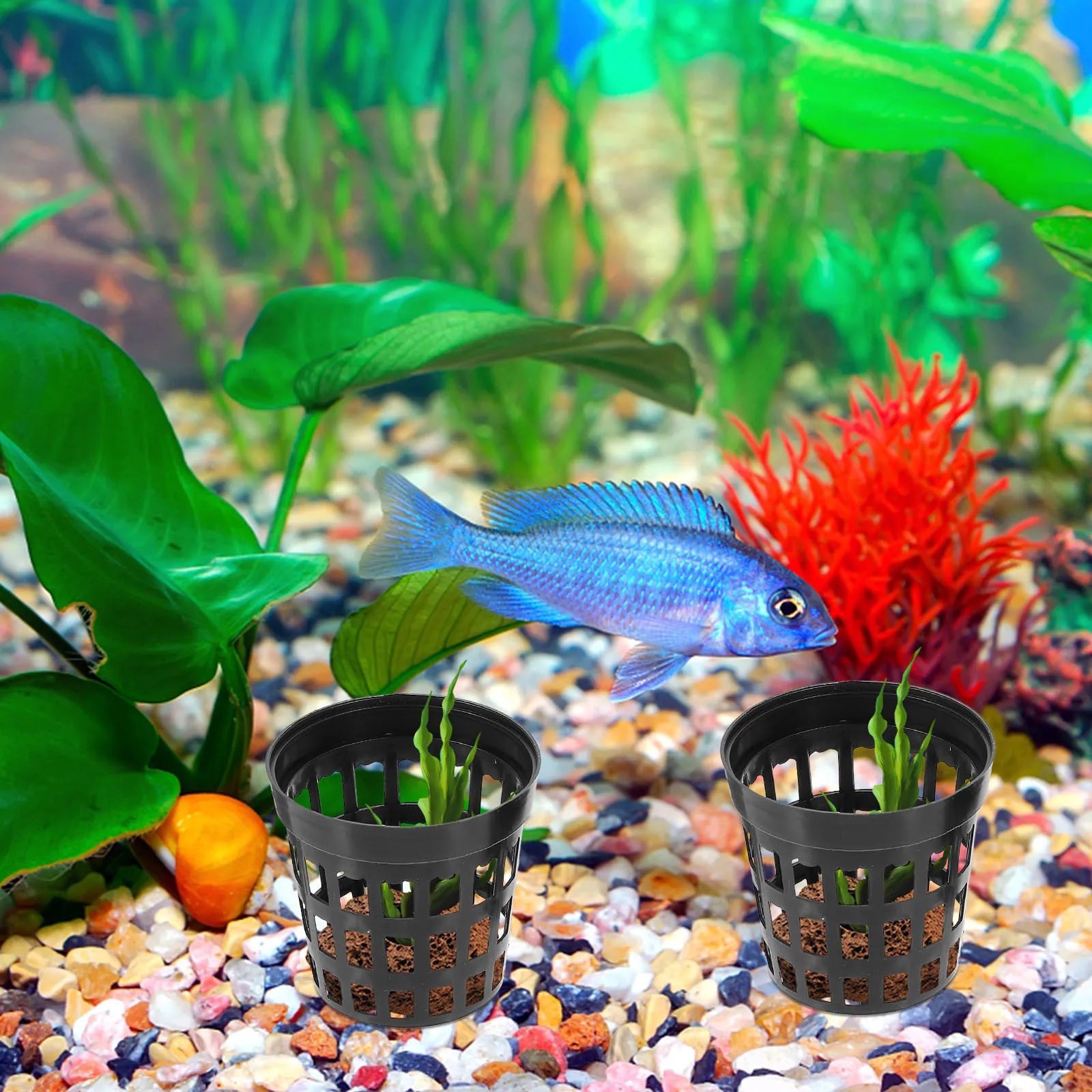 

Plants Professional Net Cups Accessory Wear-resistant Weights Household Replaceable Holder Pots Aquarium Supply