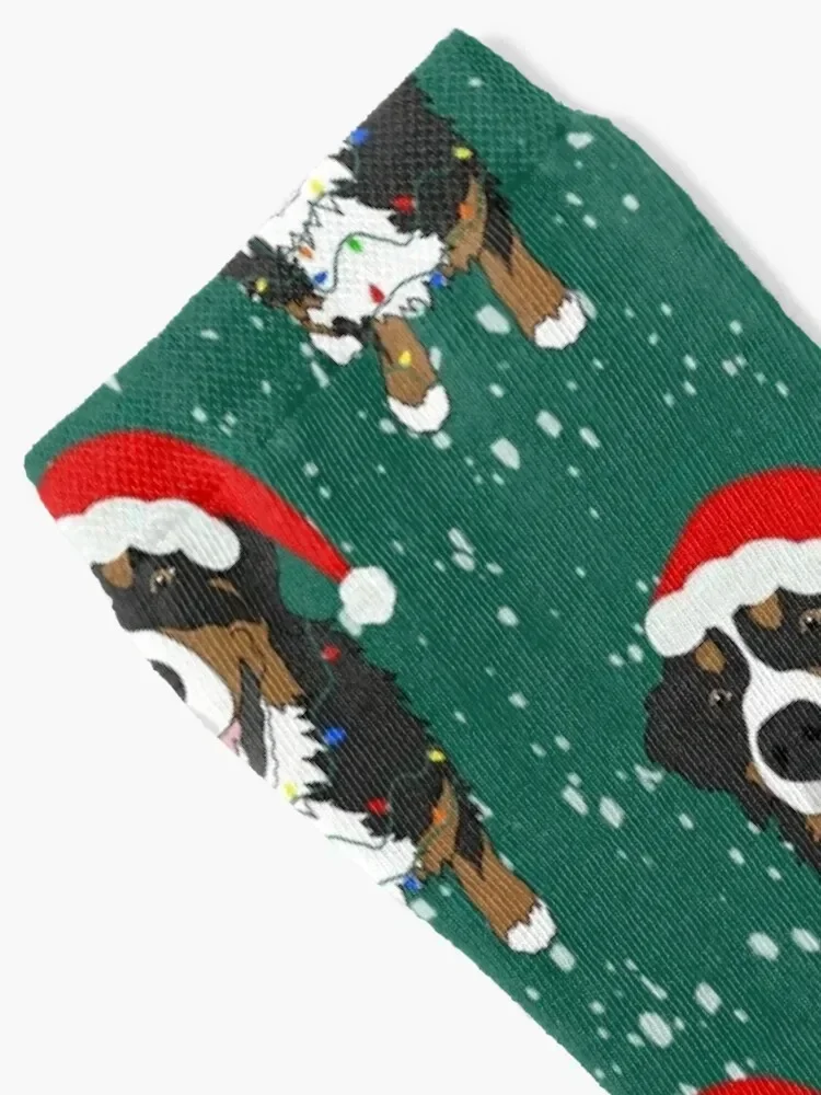 Christmas Bernese Mountain Dog Socks with print bright garter Socks For Women Men's