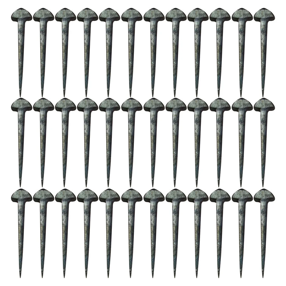 50 Pcs Small Horseshoe Nail Major Replaceable Hoof Nails Rear Brake Pads Iron Equipment Portable