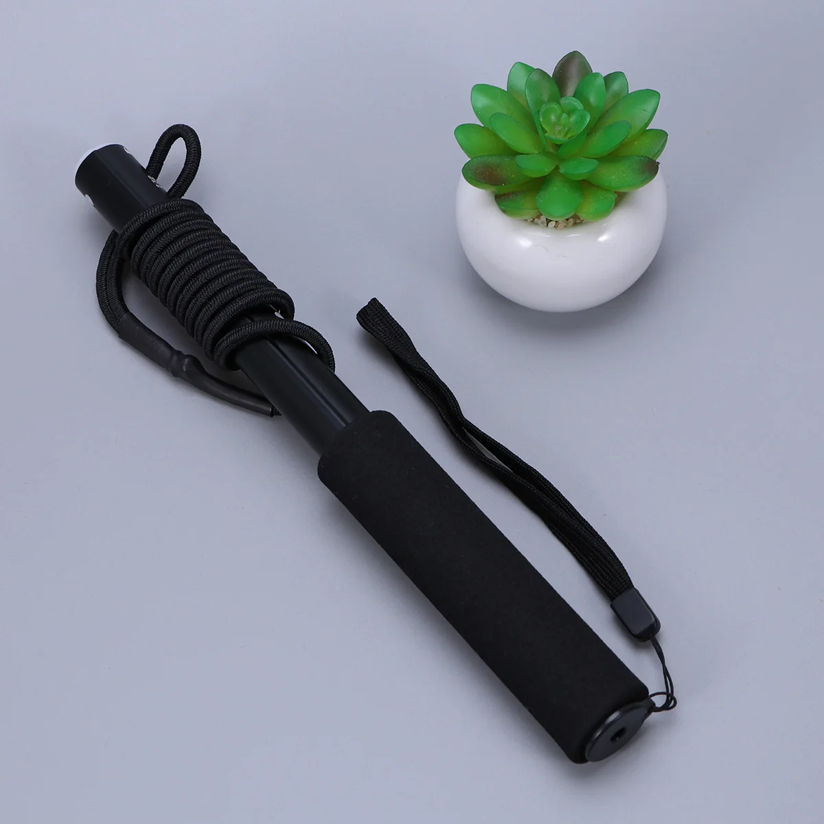 

Chasing for Dogs Extendable Flirt Pole with Cotton Rope Interactive Training Tool for Puppies Fun Exercise Device