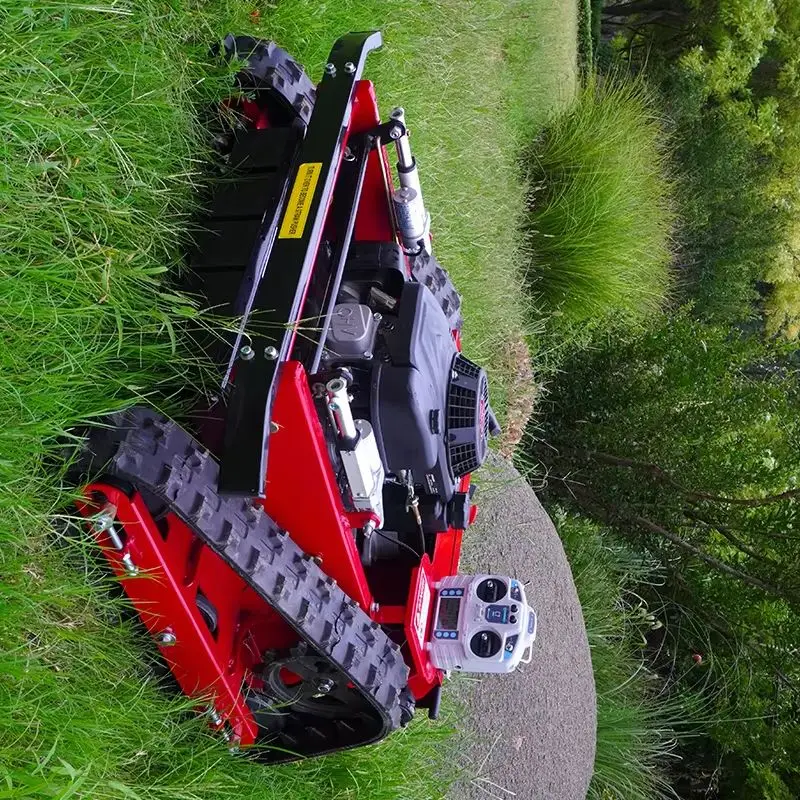 Custumized Fast Shi…