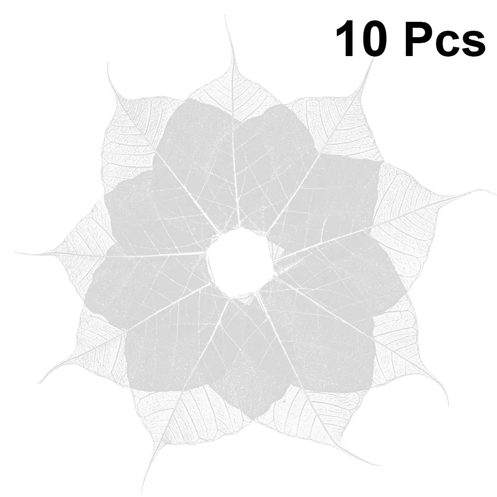 10Pcs Natural Leaves Dried Leaf Vein Material for Handmade Bookmarks Greeting Cards Scrapbook Art Home Decoration