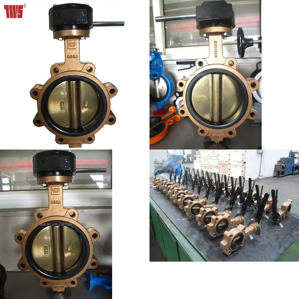 

Seawater Aluminum Bronze Polished Butterfly Valve
