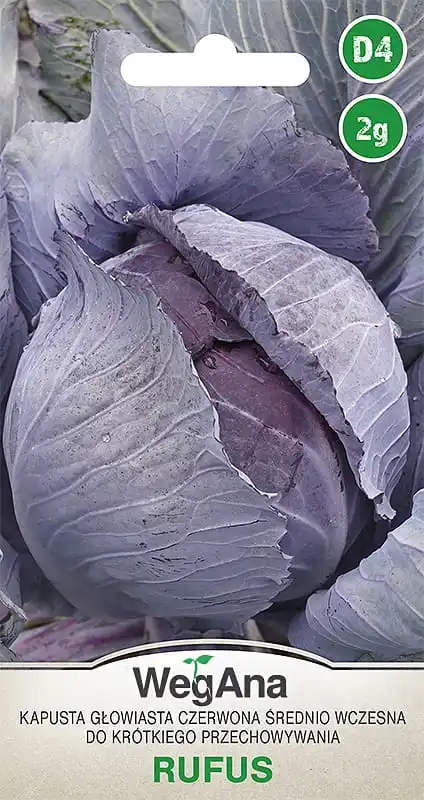 Red head cabbage medium early Rufus 2g vegetable cabbage seeds VegAna