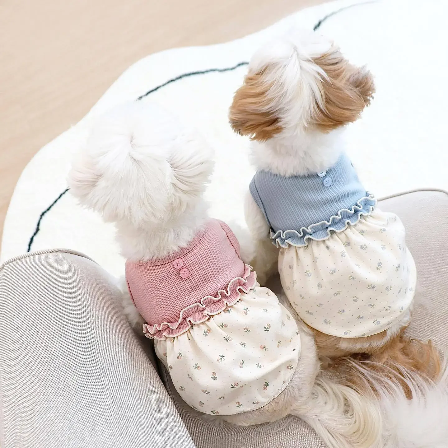 New Winter INS Small Scarf Floral Bubble Skirt Vest Dog Cat Home Clothes Pet Clothes Scarves Dog Clothes Designer Floral Lace