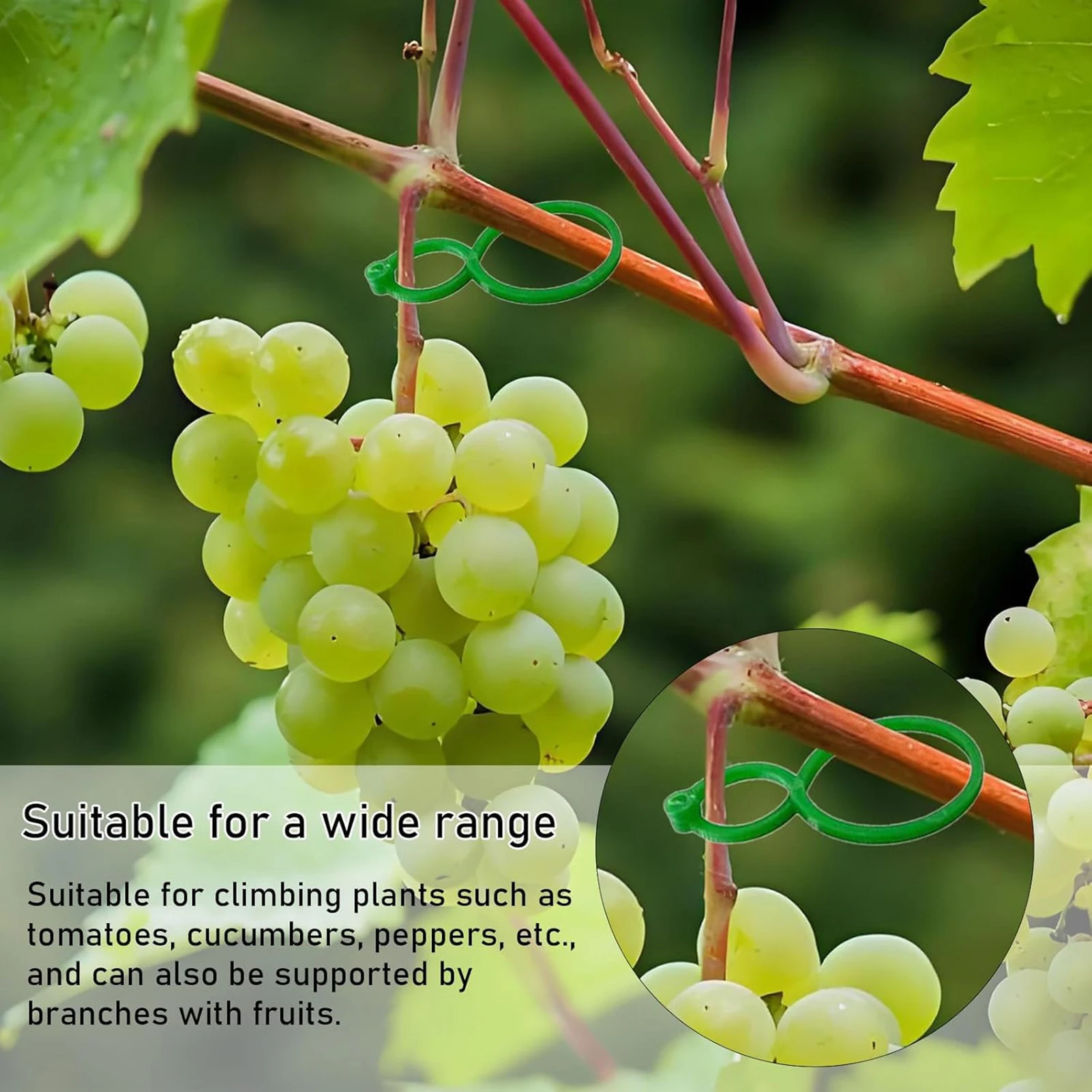 500pcs Garden Plant Clip Plastic Trellis Clips Plant Support Clips for Tomato Grape Vine Vegetables Plant Fixing