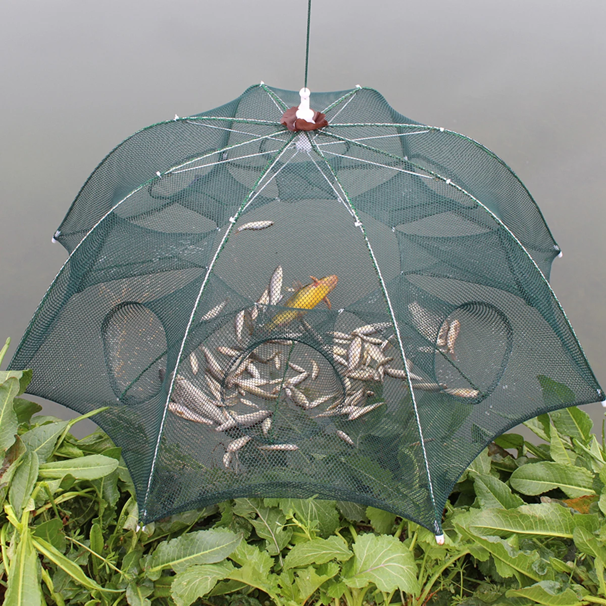 

Fish Net Fishing Cage Portable Striped Bass Foldable Bait Cast Mesh Trap
