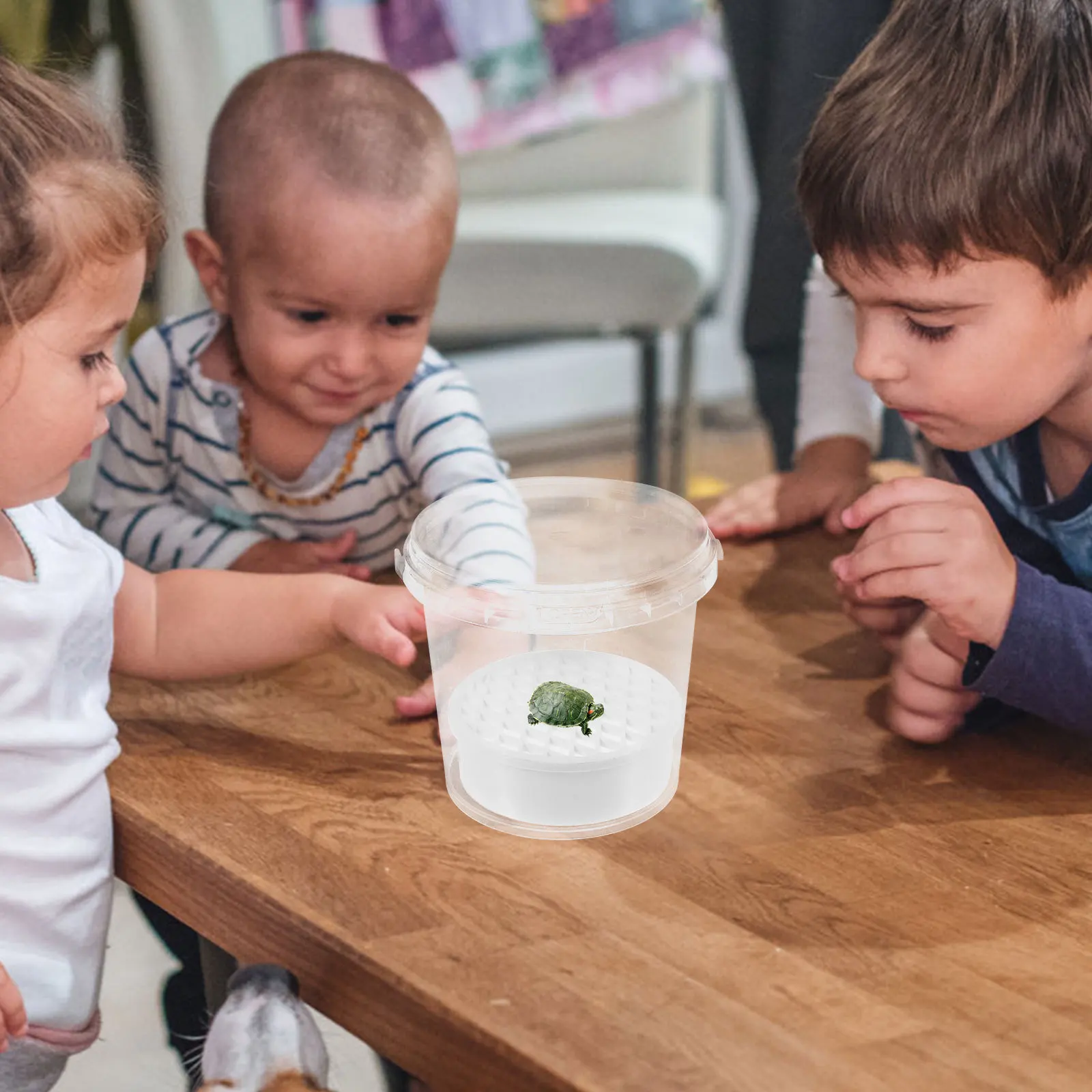 

Round Tortoise Isolation Box 8Cm Small Turtle Breeding Holder Aquarium Divider For Newborn Turtles Shrimp Tank Separator