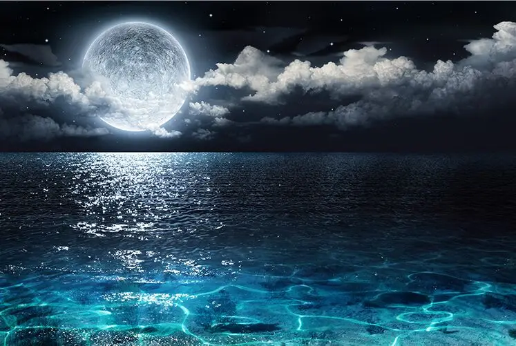 The moon rises over the sea The wooden puzzle 1000 pieces ersion jigsaw puzzle white card adult children's educational toys