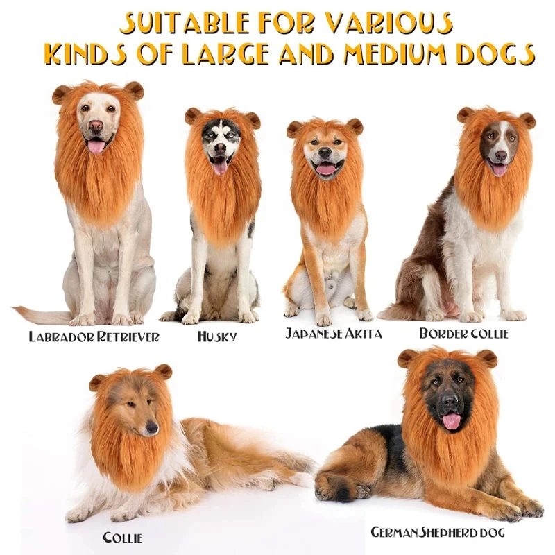 Fashionable pet instantly transforms into lion headgear, dog headgear, funny pet hat