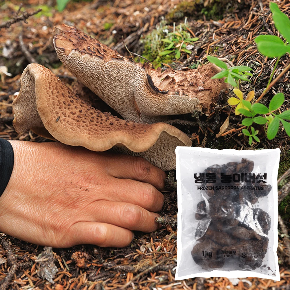 [الدرجة الخاصة أ] فطر إينوكي المزروع البري 1 كجم مجمدة