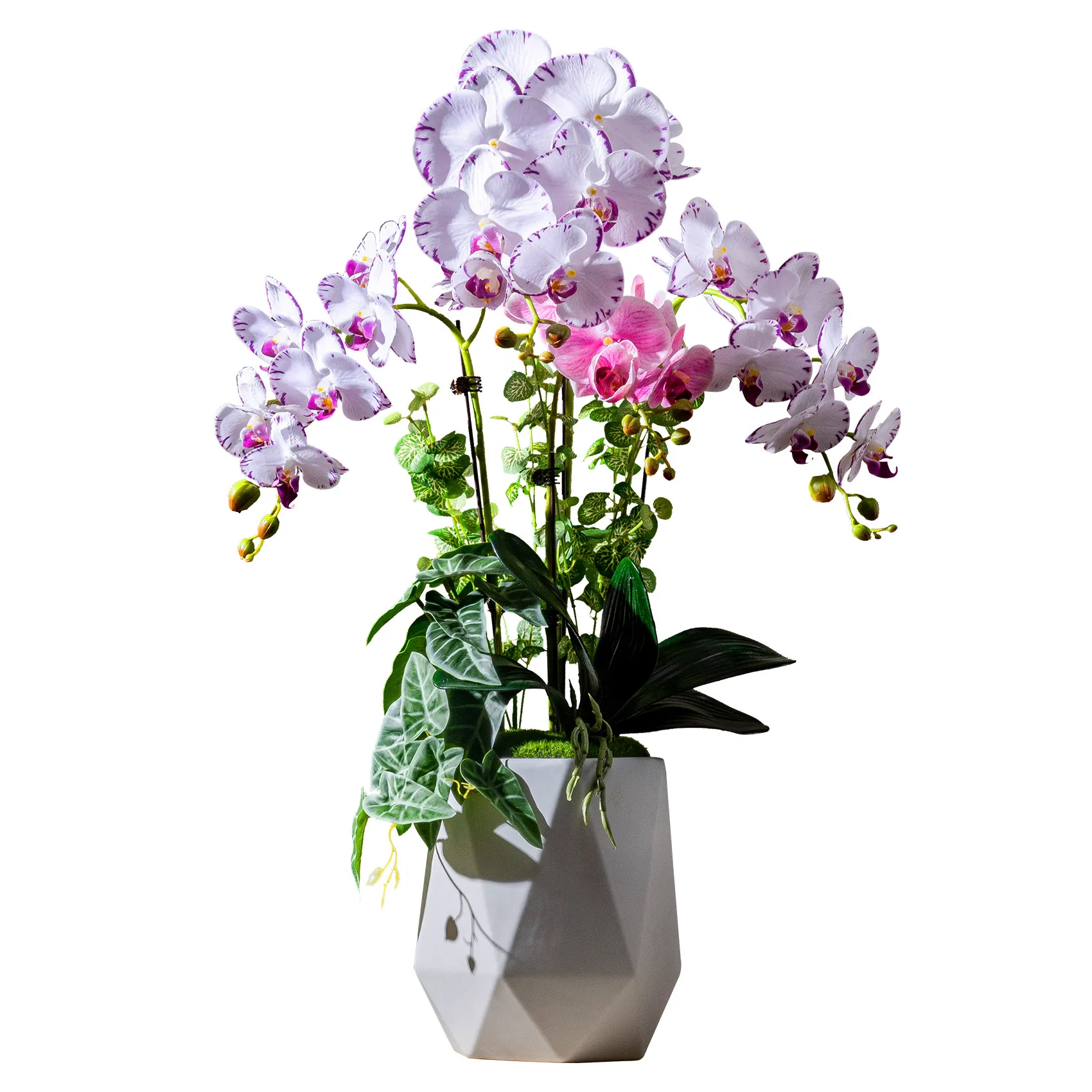 The Living Room Is Decorated with Plastic Decoration