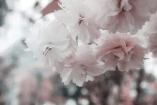 

Улучшенная деталь MK07 JK07 TK07 для радиоуправляемой модели Corolla 1/7 с противовесом из черной позолоченной латуни на краю моста.