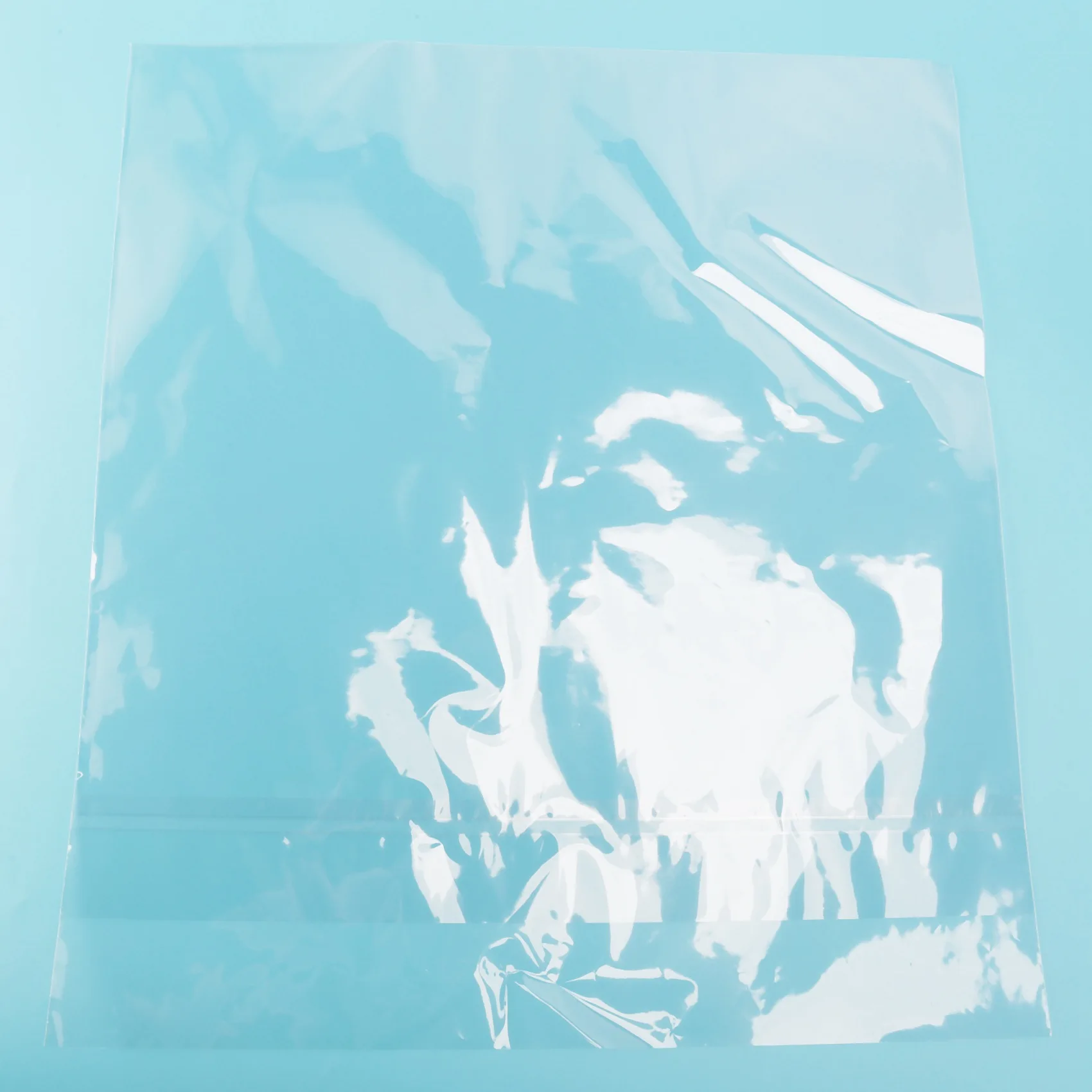 Copertura protettiva per dischi in Gel OPP da 50 pezzi per giradischi in vinile LP per giradischi autoadesivo