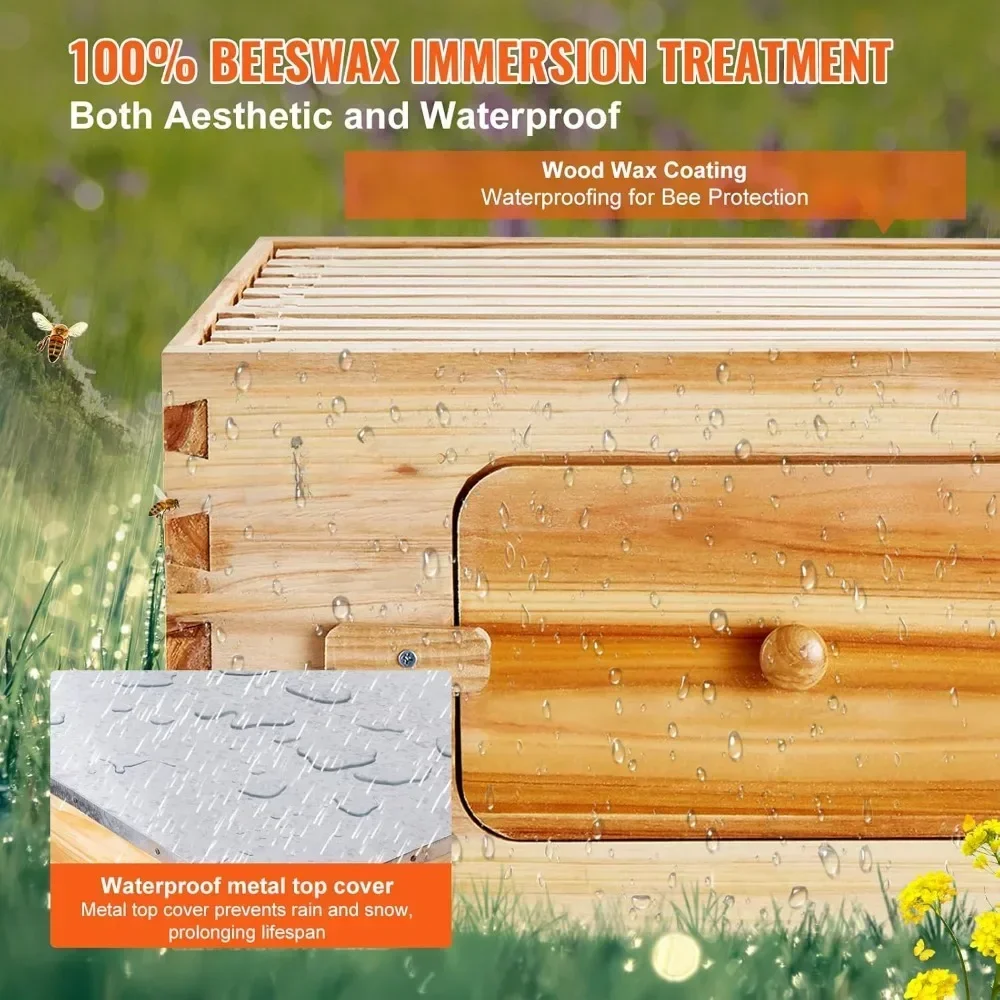 10 إطارات خلية النحل، خشب التنوب المطلي بشمع العسل، 2 علبة نحل متوسطة + 2 صندوق خلية نحل Langstroth للمبتدئين المحترفين #5