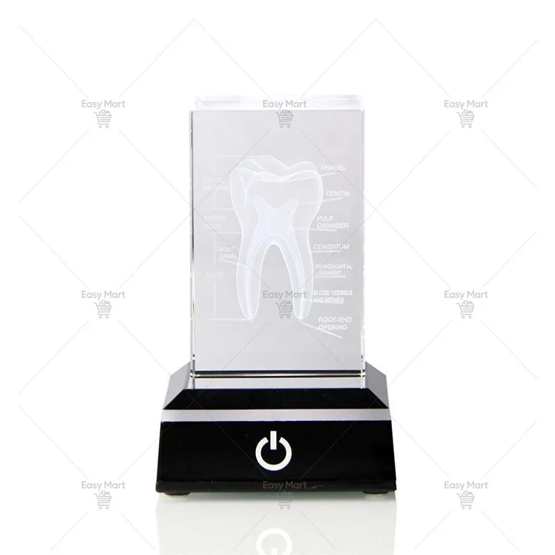 Crystal tooth model inner engraving oral dentistry medical school gives doctor gifts dental teaching commemorative gift ornament