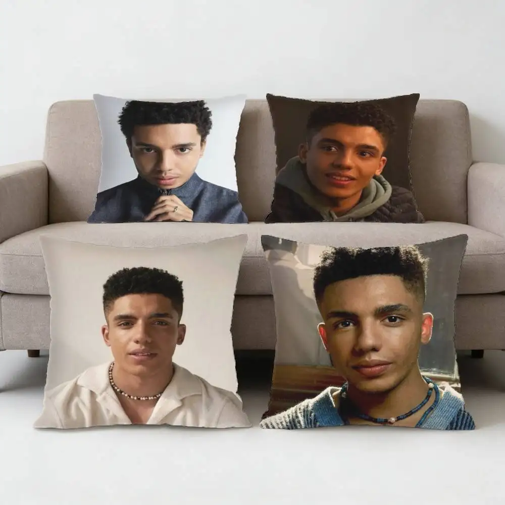 

Jay Lycurgo Actor Tim Pillow Case Anti-dustmite Pillowcase Invisible zipper silky short plush Sofa cushion cover